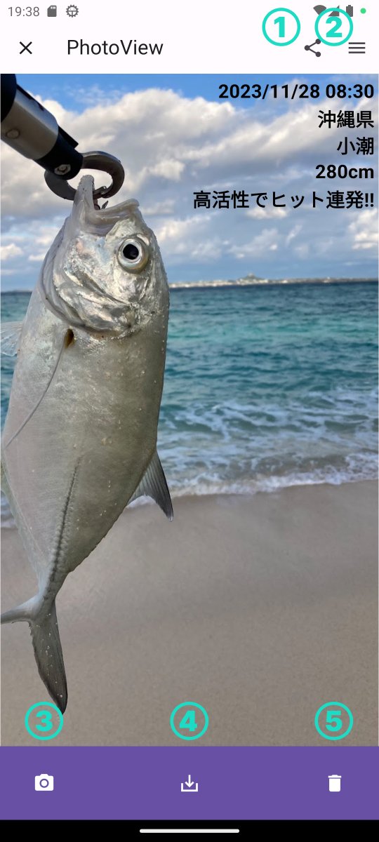 フォトビューページ